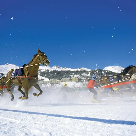 Hotel Crystal Superior Saint-Moritz