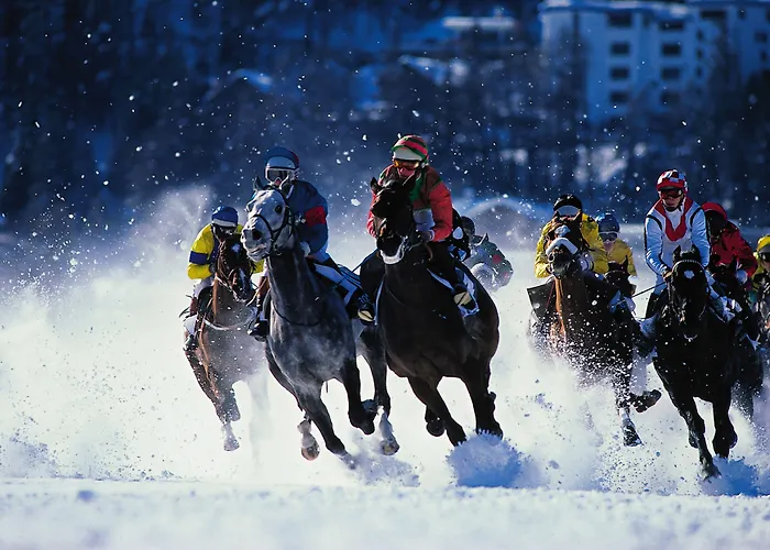 מלון Crystal Superior